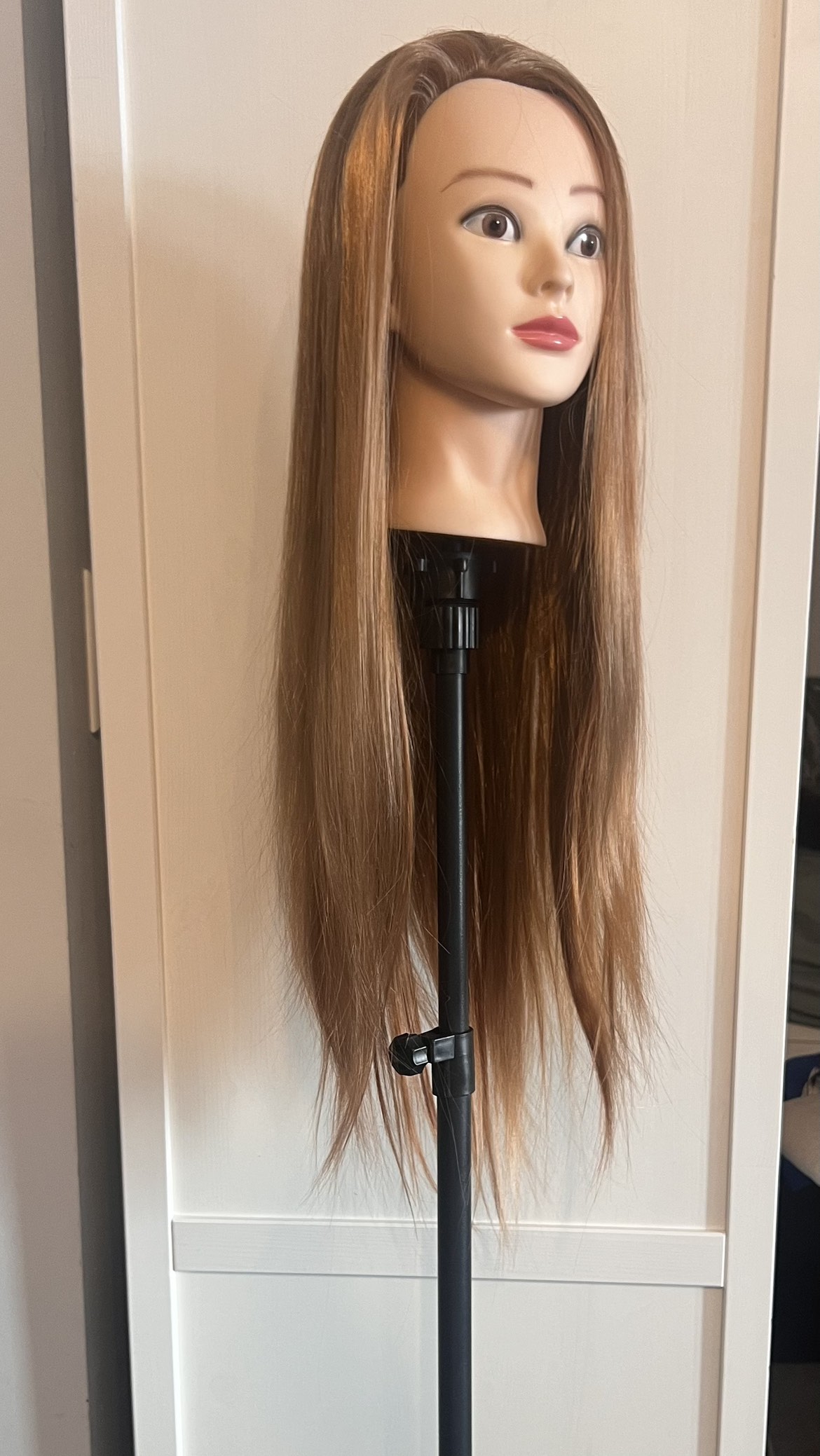 Mannequin head and stand
