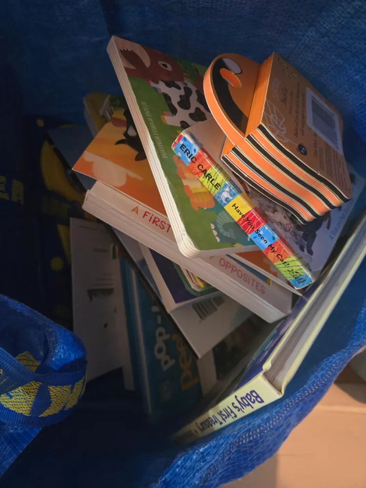 Bundle of Children's Books (0-3) image indicator(2)