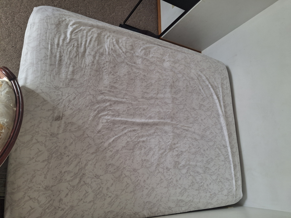 Free items: queen bed and box spring with wooden chest - photo 2