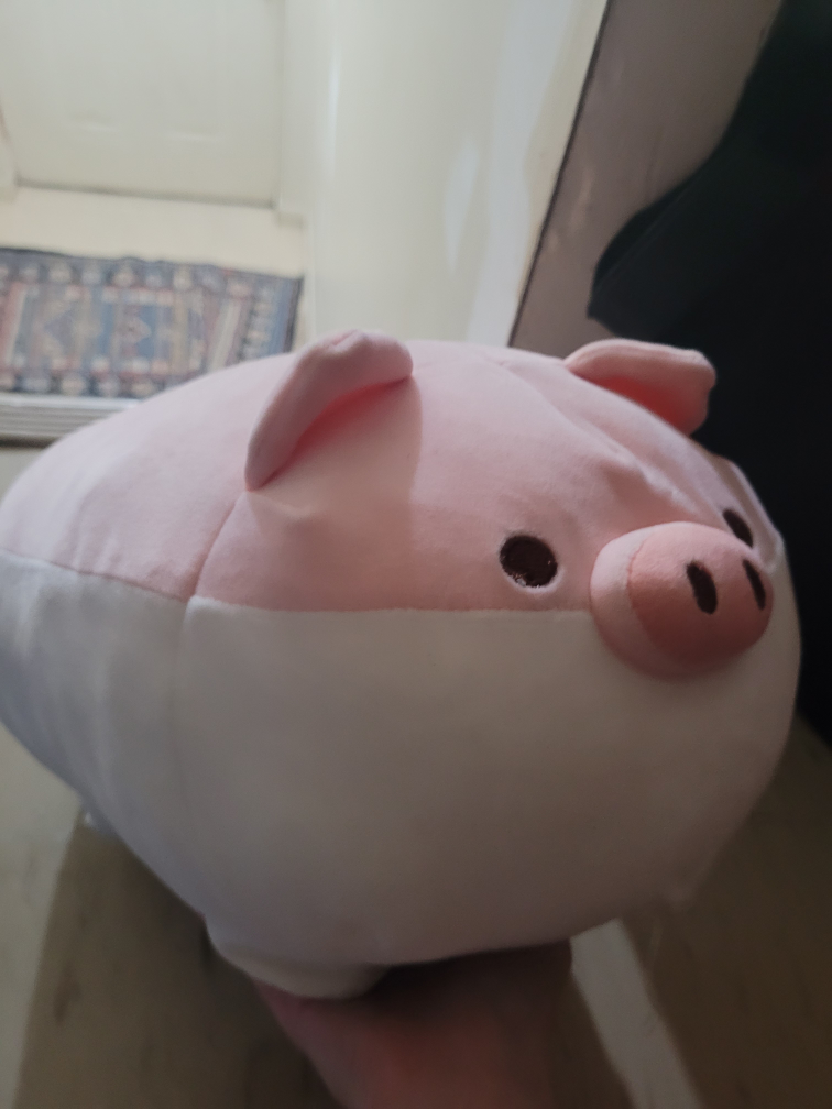 Pig plush