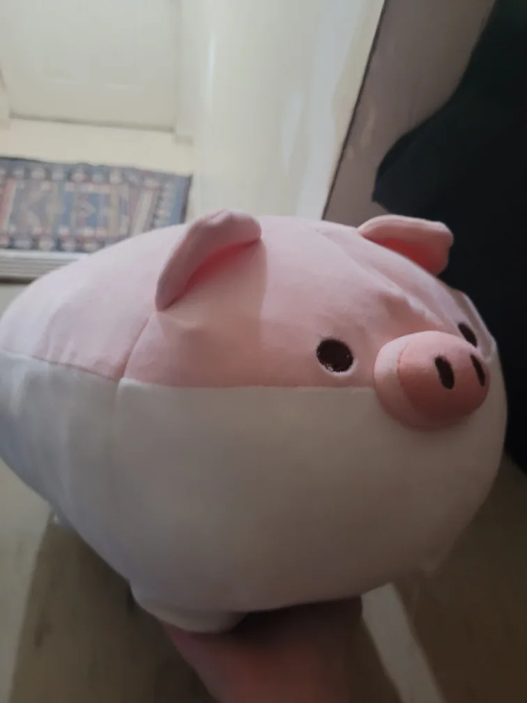 Pig plush thumbnail