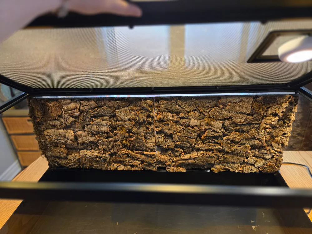40 Gallon Reptile Tank w/ Heating Mat and 3D Cork Background image indicator(5)