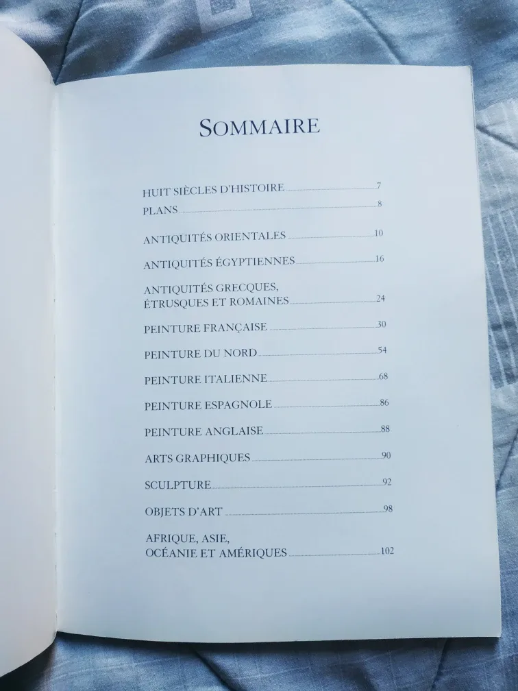 Louvre Museum Guide 🏈 image indicator(9)