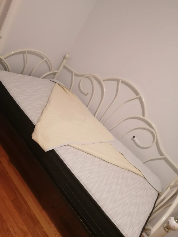 White Metal Daybed Frame