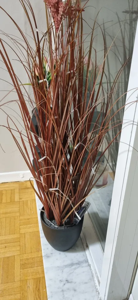 Artificial Plant image indicator(2)