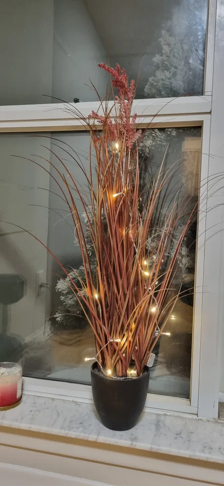 Artificial Plant image indicator(4)