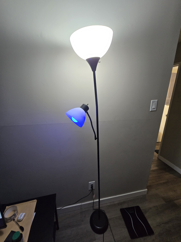 Standing Light