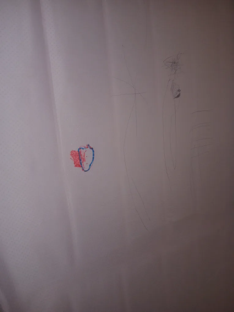 King Bed Frame and King Mattress NEED GONE ASAP image indicator(7)