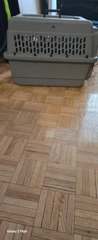 pet carrier image indicator(4)