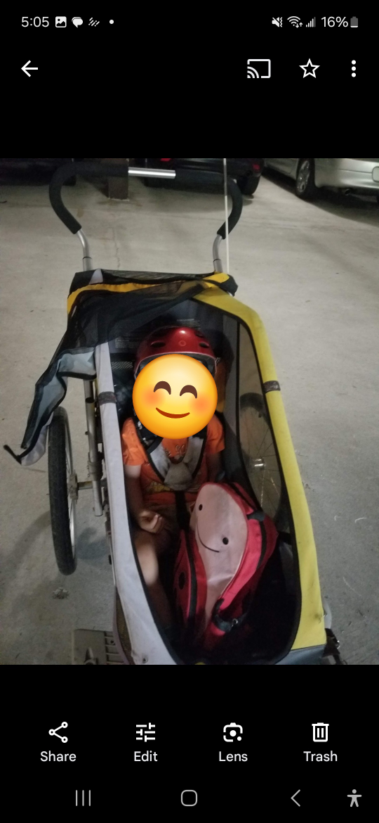 Chariot Cougar 1 Child Bike Trailer - photo 2