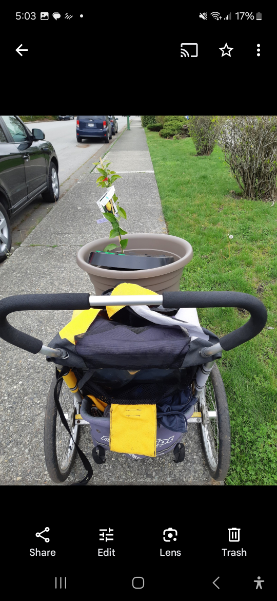 Chariot Cougar 1 Child Bike Trailer - photo 5