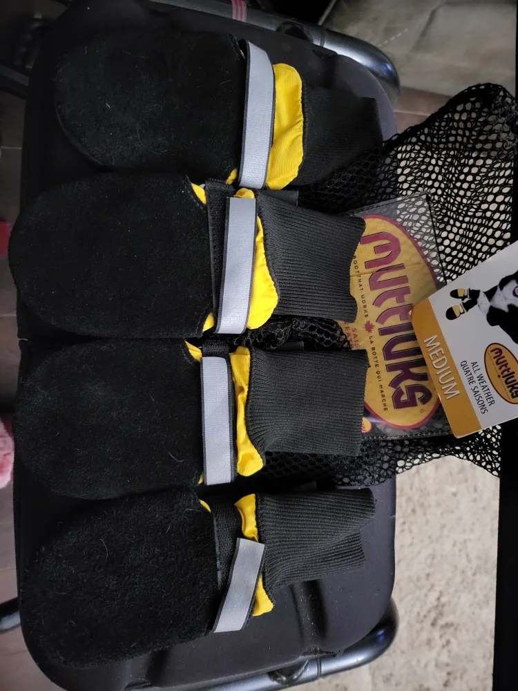 Mutluks Dog Boots - Size Medium - Red & Yellow image indicator(4)