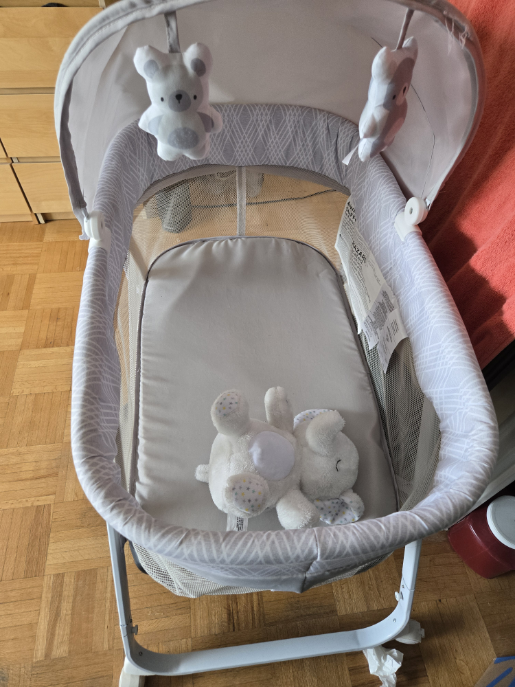 Baby Bassinet with Canopy and Toys