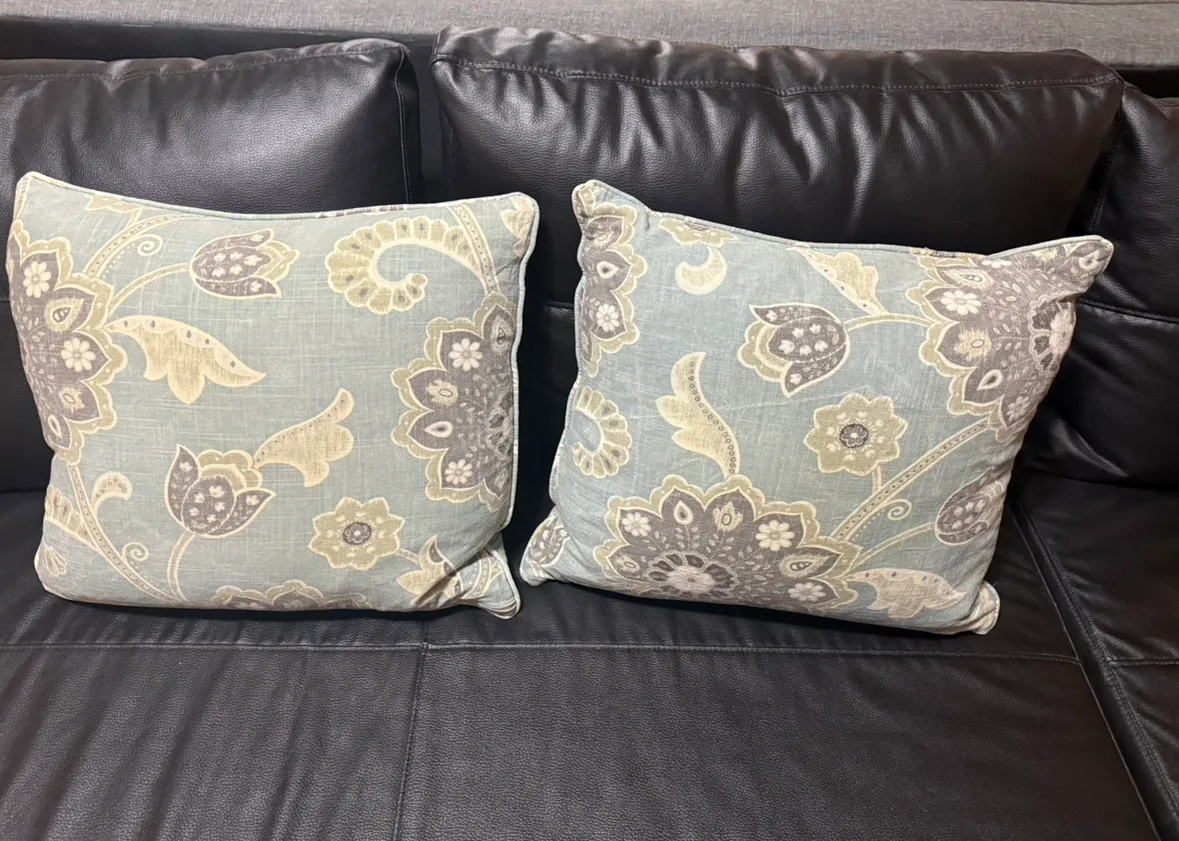Pair of Decorative Throw Pillows image indicator(2)