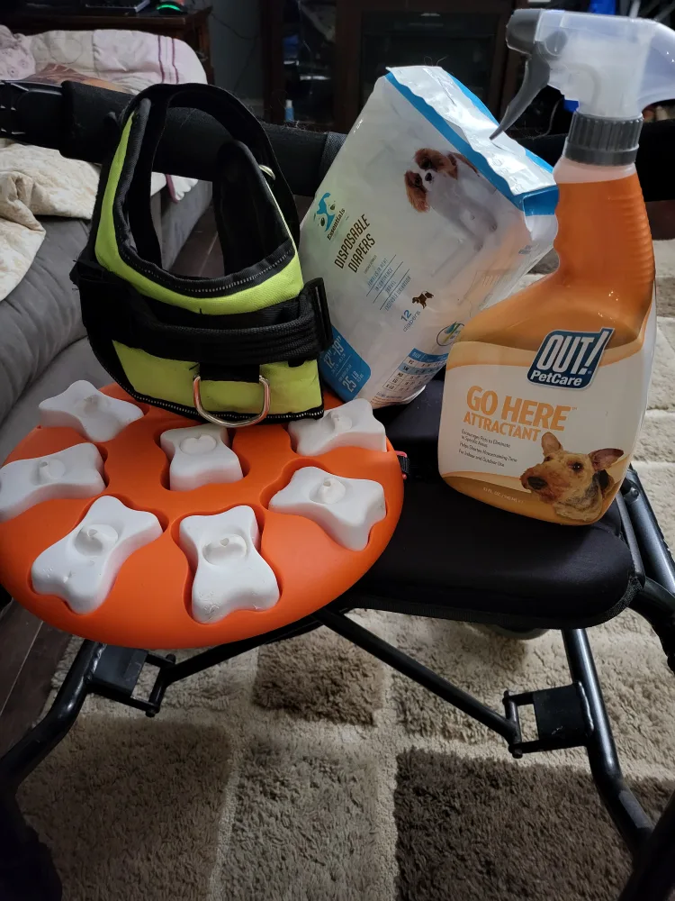 Dog Training & Walking Bundle image indicator(5)