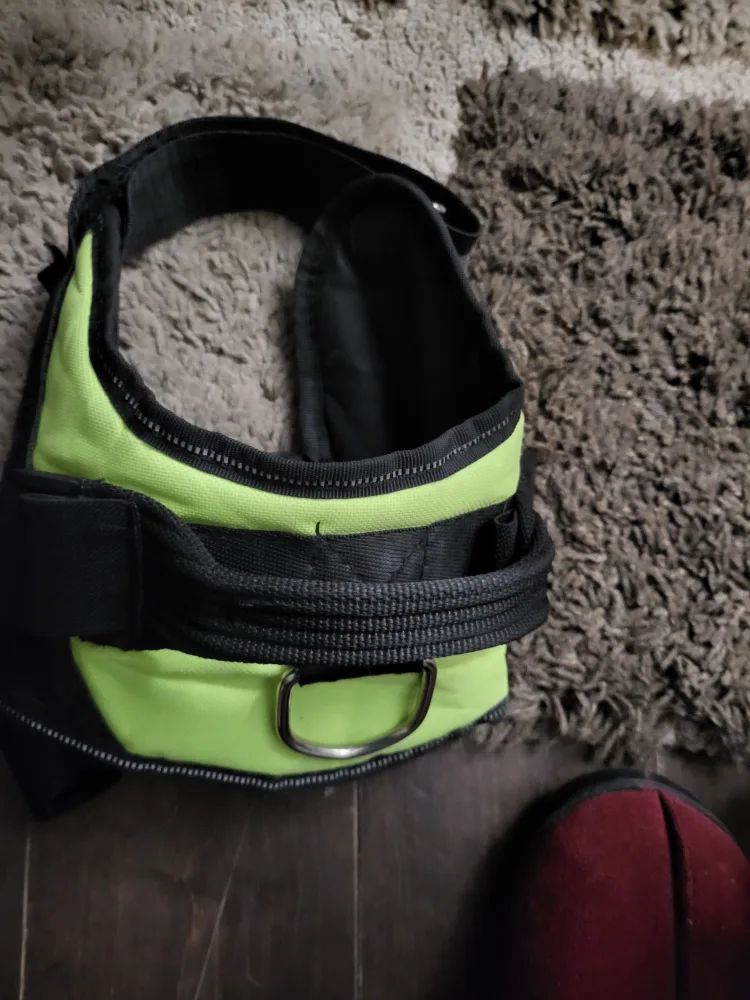 Dog Training & Walking Bundle image indicator(6)