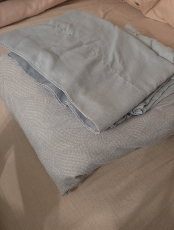 Queen size bedsheet with Pillowcase Set