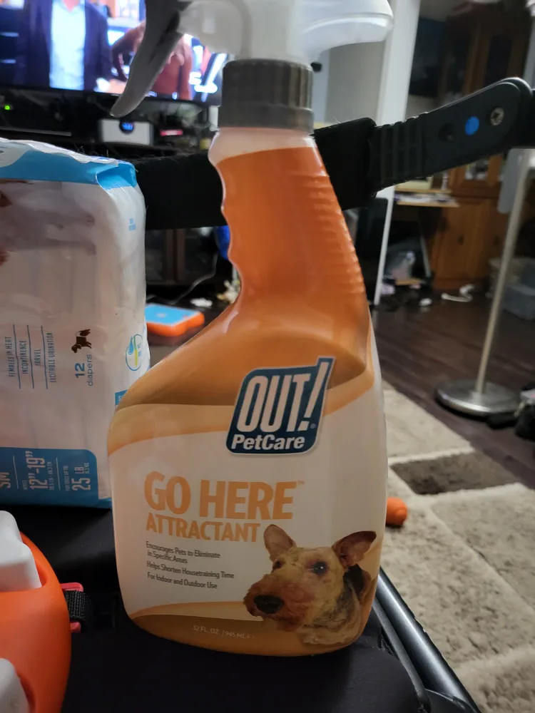 Dog Training & Walking Bundle image indicator(4)