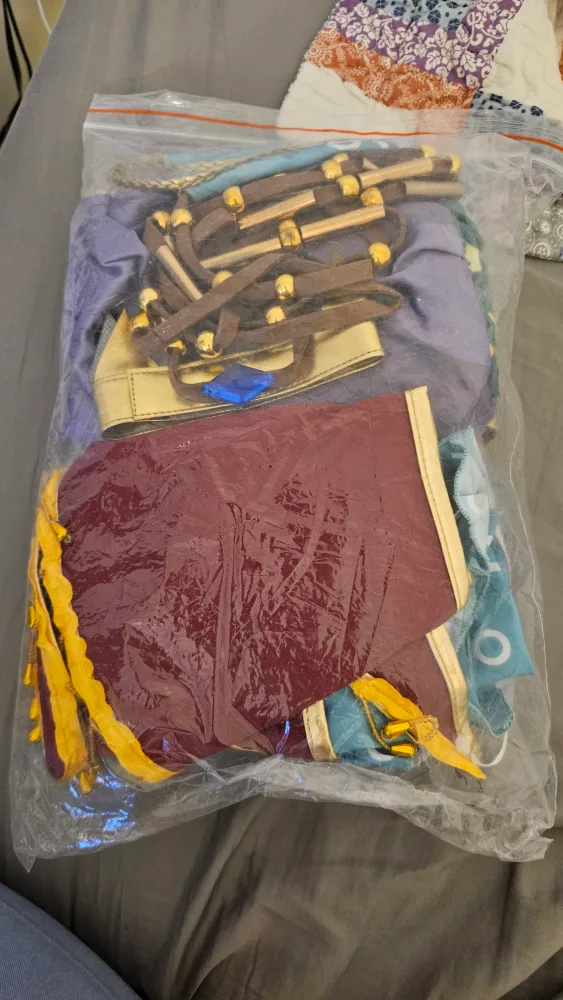 Zelda Breath of the Wild Urbosa Cosplay Costume image indicator(3)