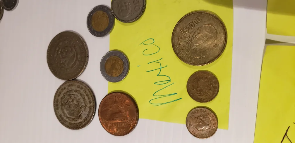 Large Bag of Foreign Coins image indicator(2)