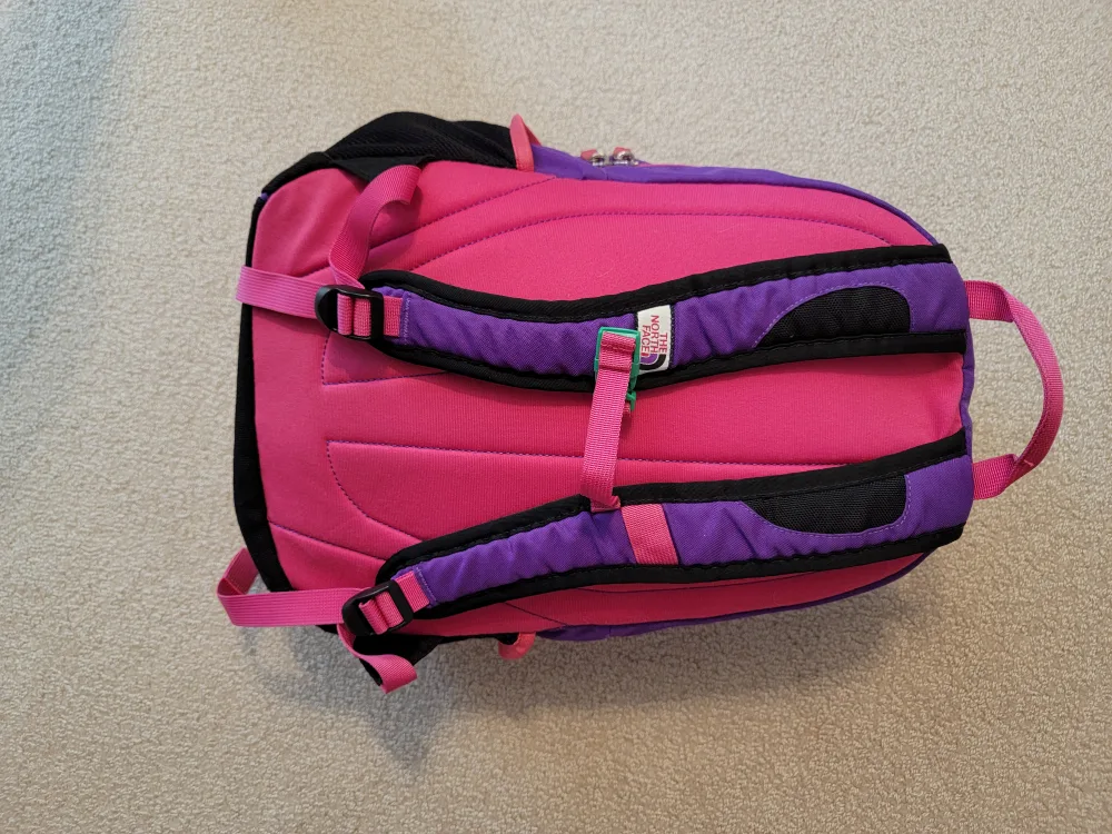 The North Face Recon Backpack - Purple and Pink image indicator(3)