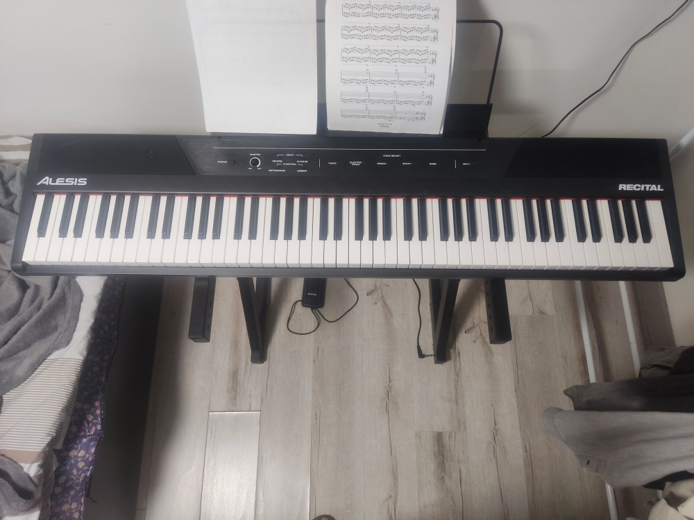 Alesis Recital Digital Piano - 88 Keys - photo 2