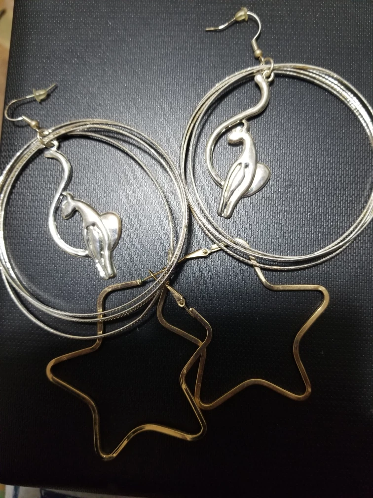 Silver Cat Charm Hoop Earrings & Gold Star Earrings