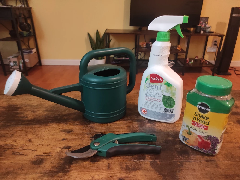 Gardening Supplies: food plant, Garden Spray, pruner