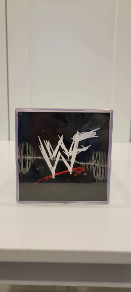 WWF Attitude Bears The Rock Collectible Bear image indicator(8)