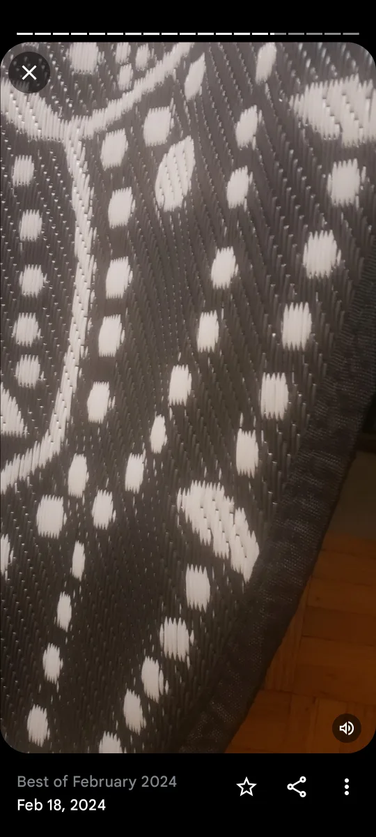 Black and White Outdoor Rugs image indicator(6)