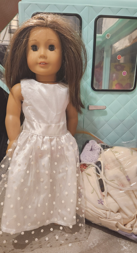 American girl brunette girl #freescycle