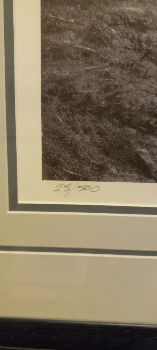 Donald Curley limited edition print image indicator(2)