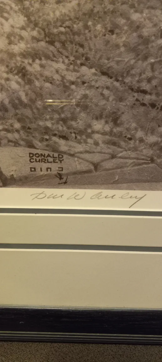 Donald Curley limited edition print image indicator(3)