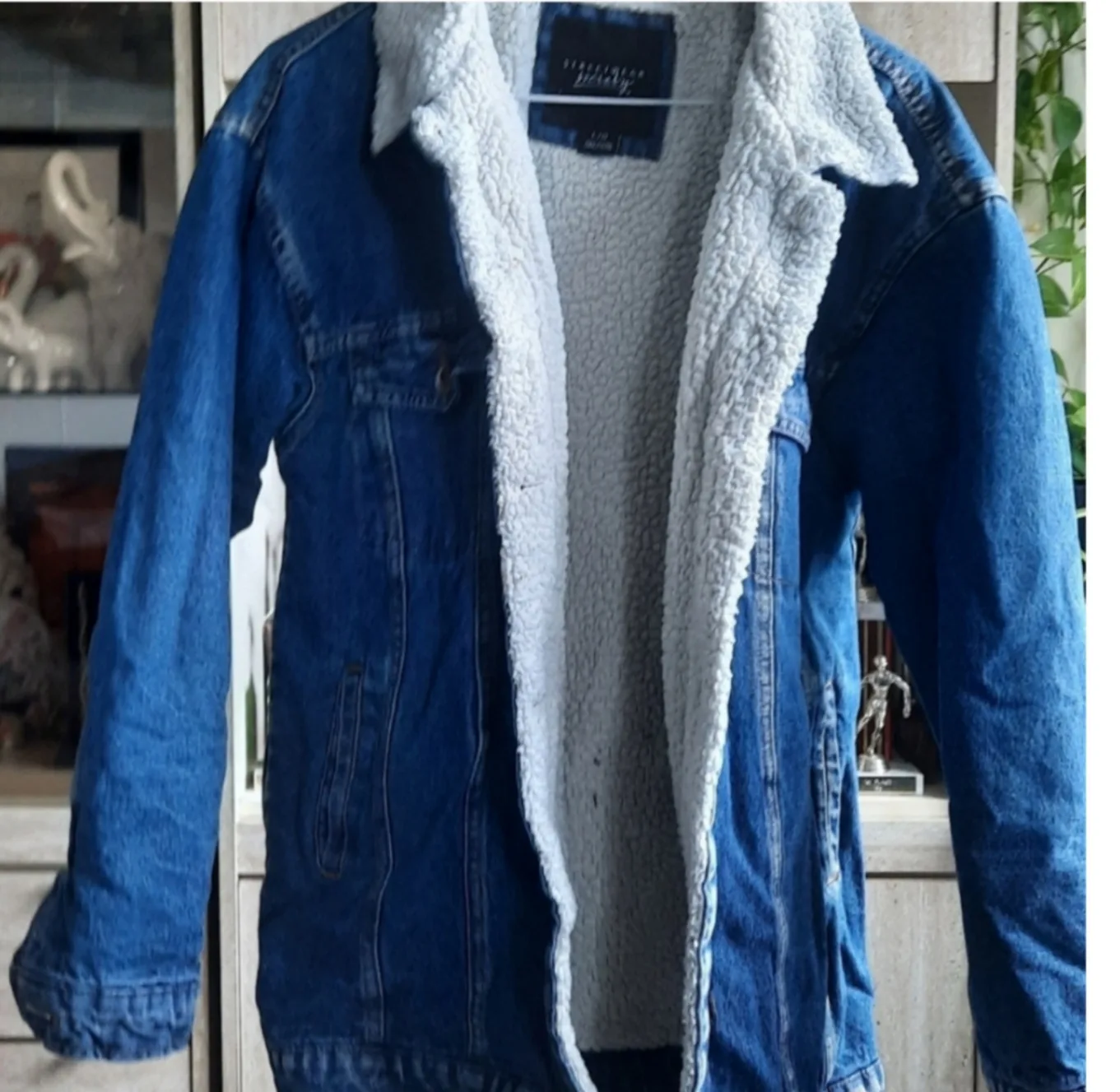 Stylish Denim Jacket with Sherpa Lining image indicator(2)