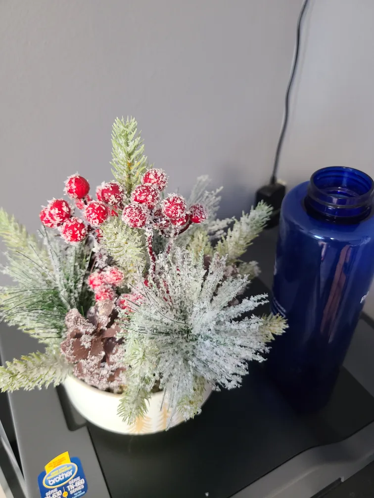 New Miniature Snowy Christmas Arrangement“🏈” image indicator(2)