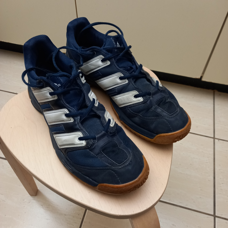Adidas Indoor Court Shoes