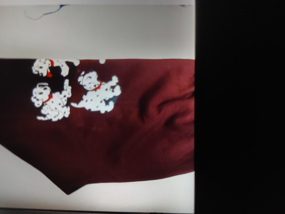 Adorable Dalmatian Dog Print on original club monaco pullover