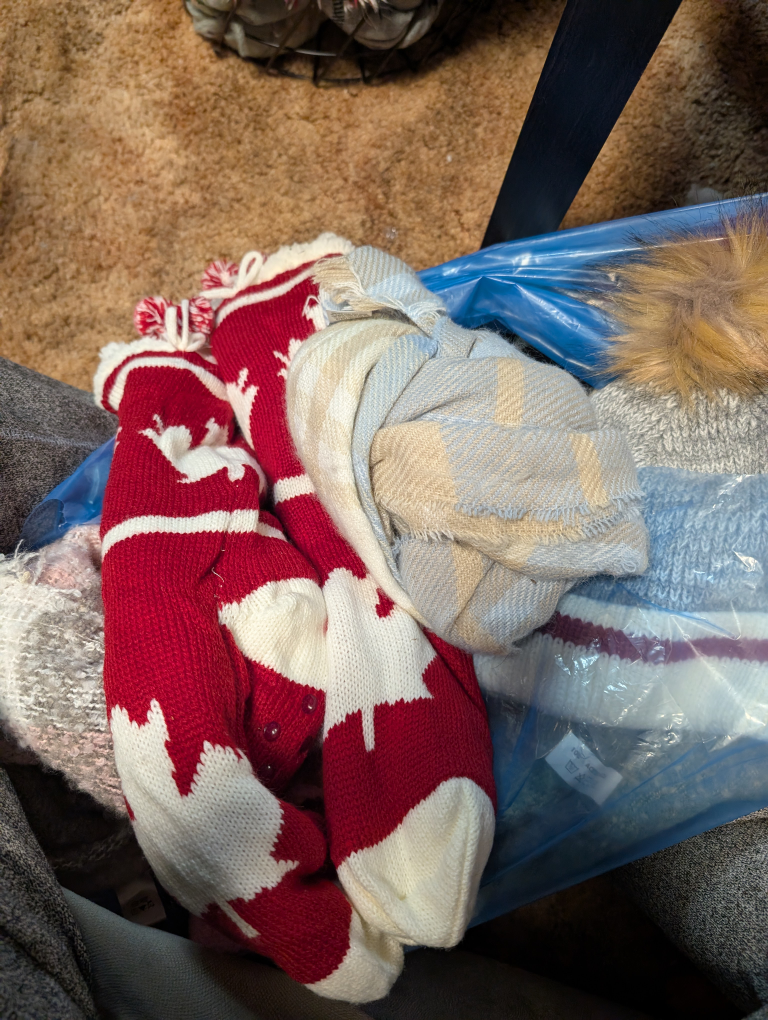 Bag of Winter Accessories - Hats, Scarves & More! - photo 4