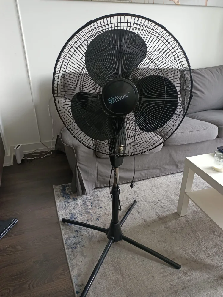 Standing Fan - Great for Summer! thumbnail