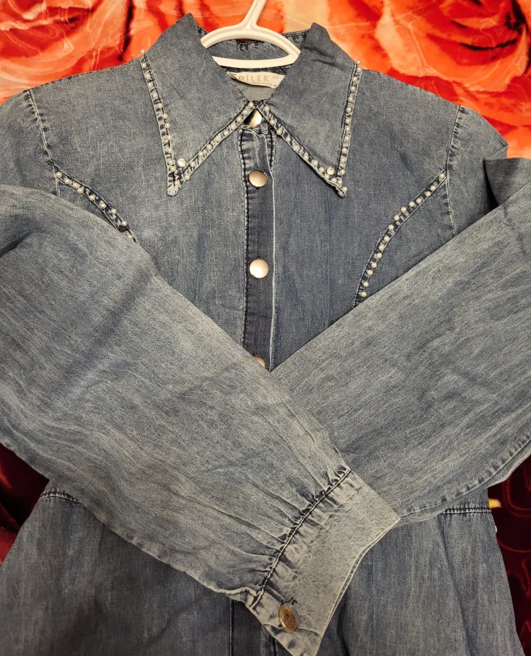 Vintage-inspired Denim Dress with Pearl Detailing image indicator(6)