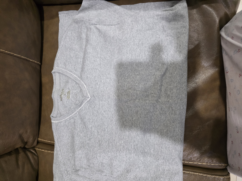 #FreecycleMen's V-Neck T-Shirt - Size L