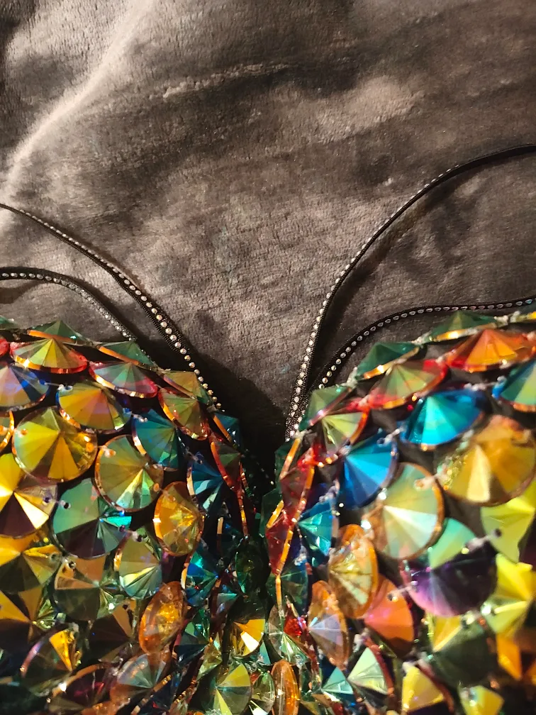 Rhinestone embellished corset top image indicator(3)