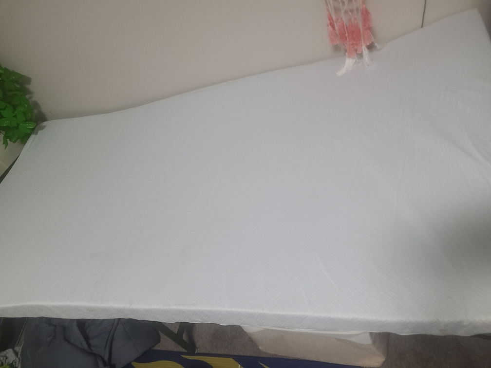 Twin Mattress Topper