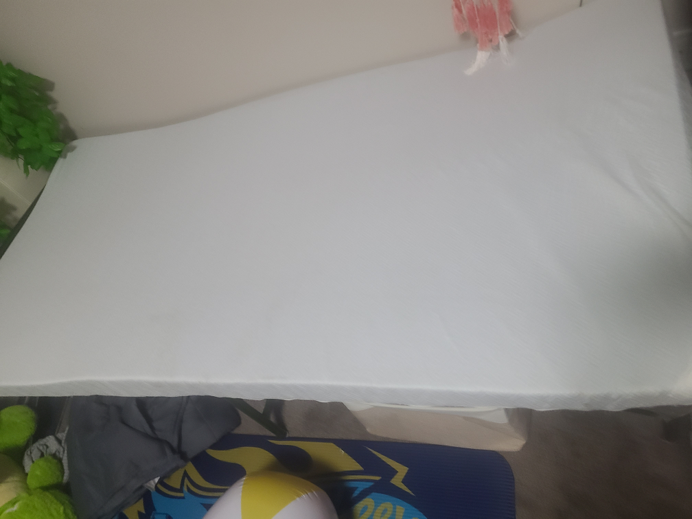 Twin Mattress Topper - photo 2