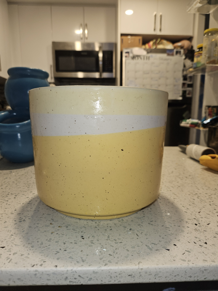 Yellow and White Ceramic Planter