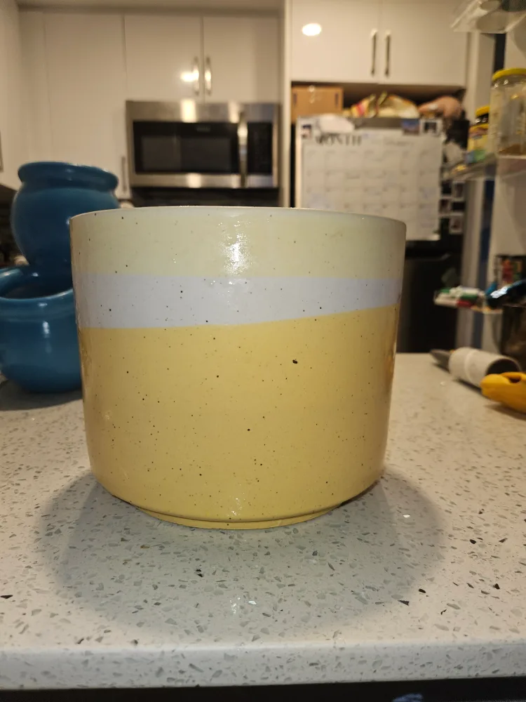 Yellow and White Ceramic Planter thumbnail