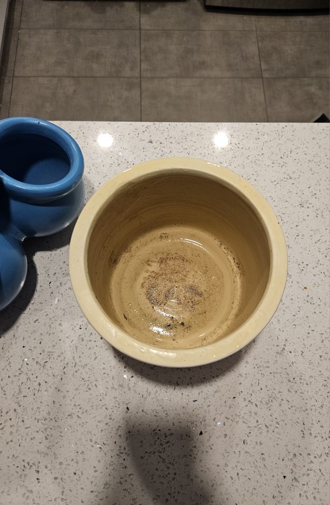 Yellow and White Ceramic Planter - photo 3