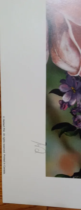 Herbert Piki limited edition prints image indicator(3)