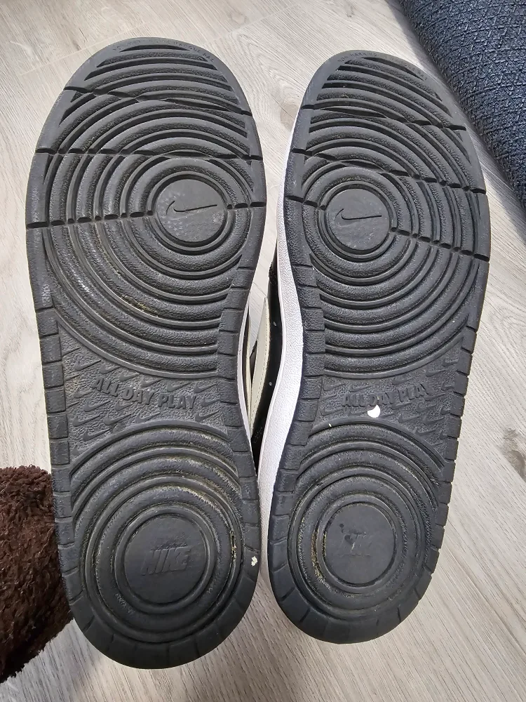 Nike Court Borough Low 2 Sneakers image indicator(5)