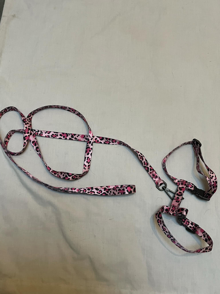 2 Pet Harness and Leash Set - Pink Leopard & Orange Mesh